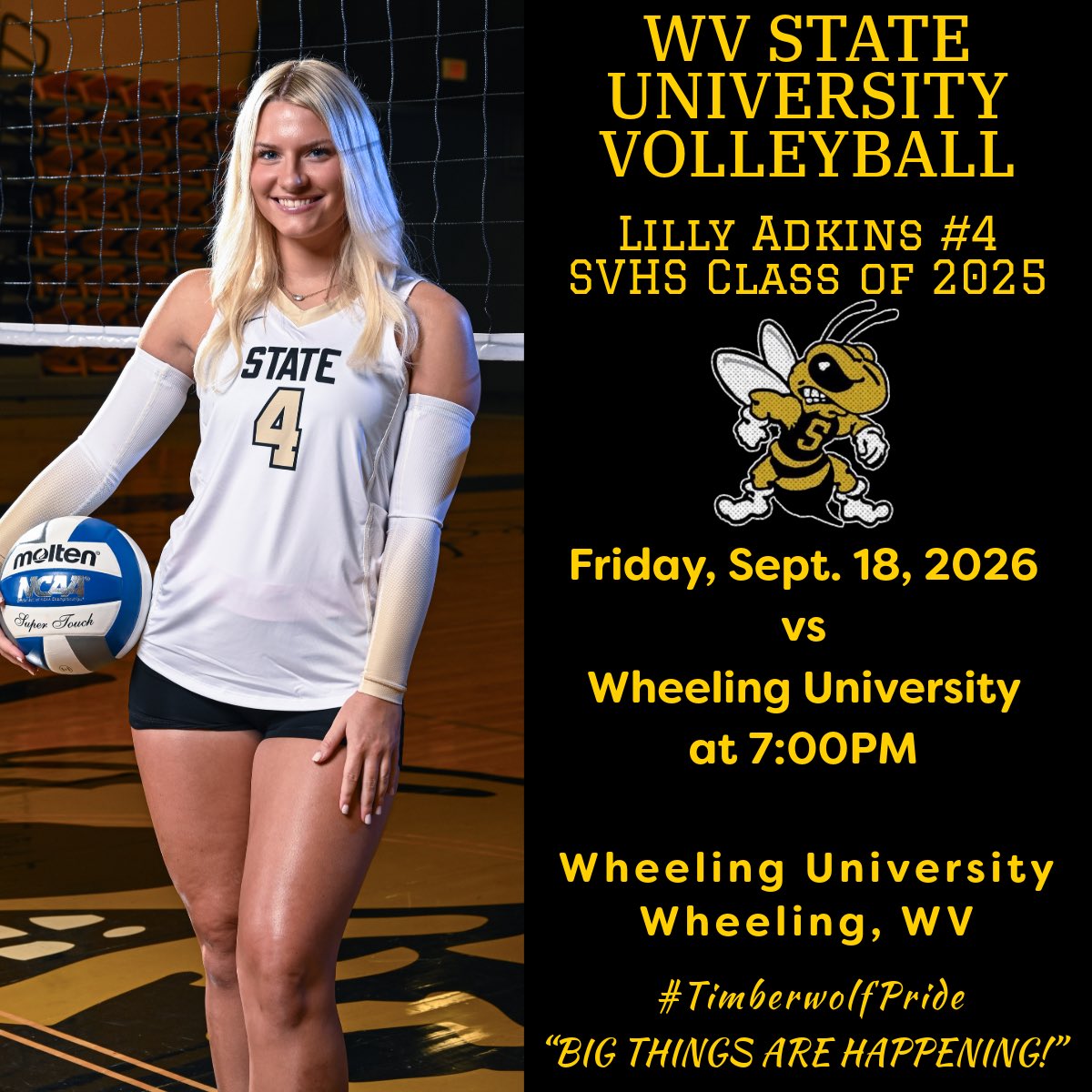 AthleticSpring's tweet photo. #TimberwolfPride 🏐🐝💛🖤 @lillyadkinss @wildbrookeee @wvsuathletics https://t.co/1IGdfnfb3w