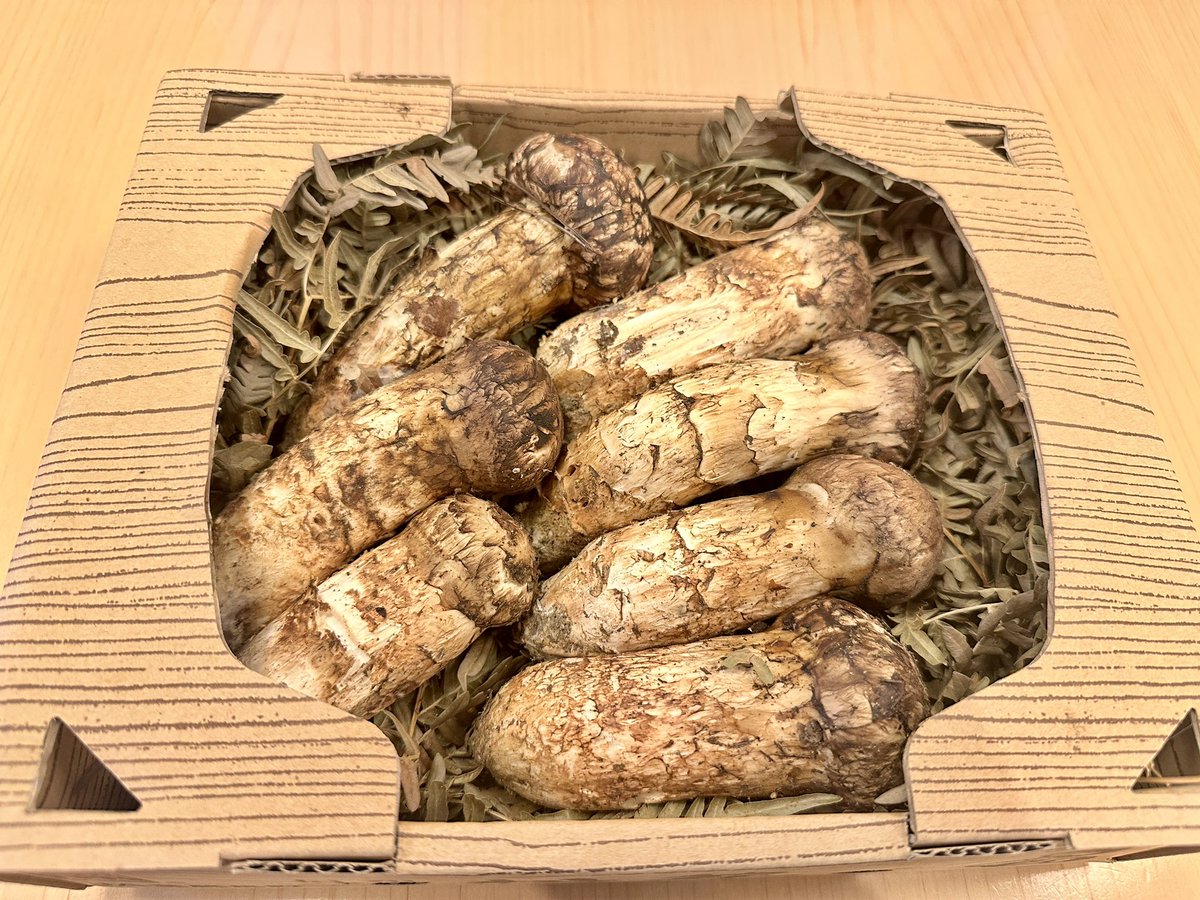 Che__cazzo's tweet photo. 松茸貰った！
お吸い物作ろう！
残りは焼きで👏 https://t.co/sBd2tcrJQz