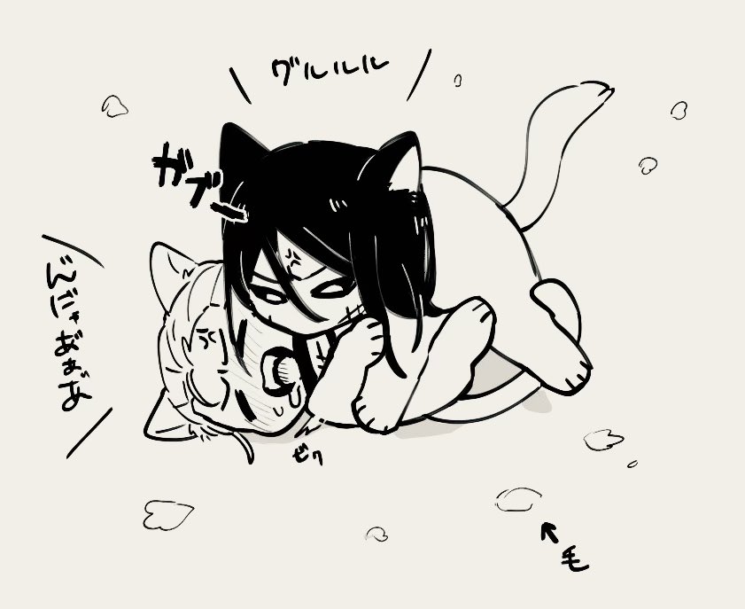 shikabane_326's tweet photo. 🐾 https://t.co/Vjp9eK1njO