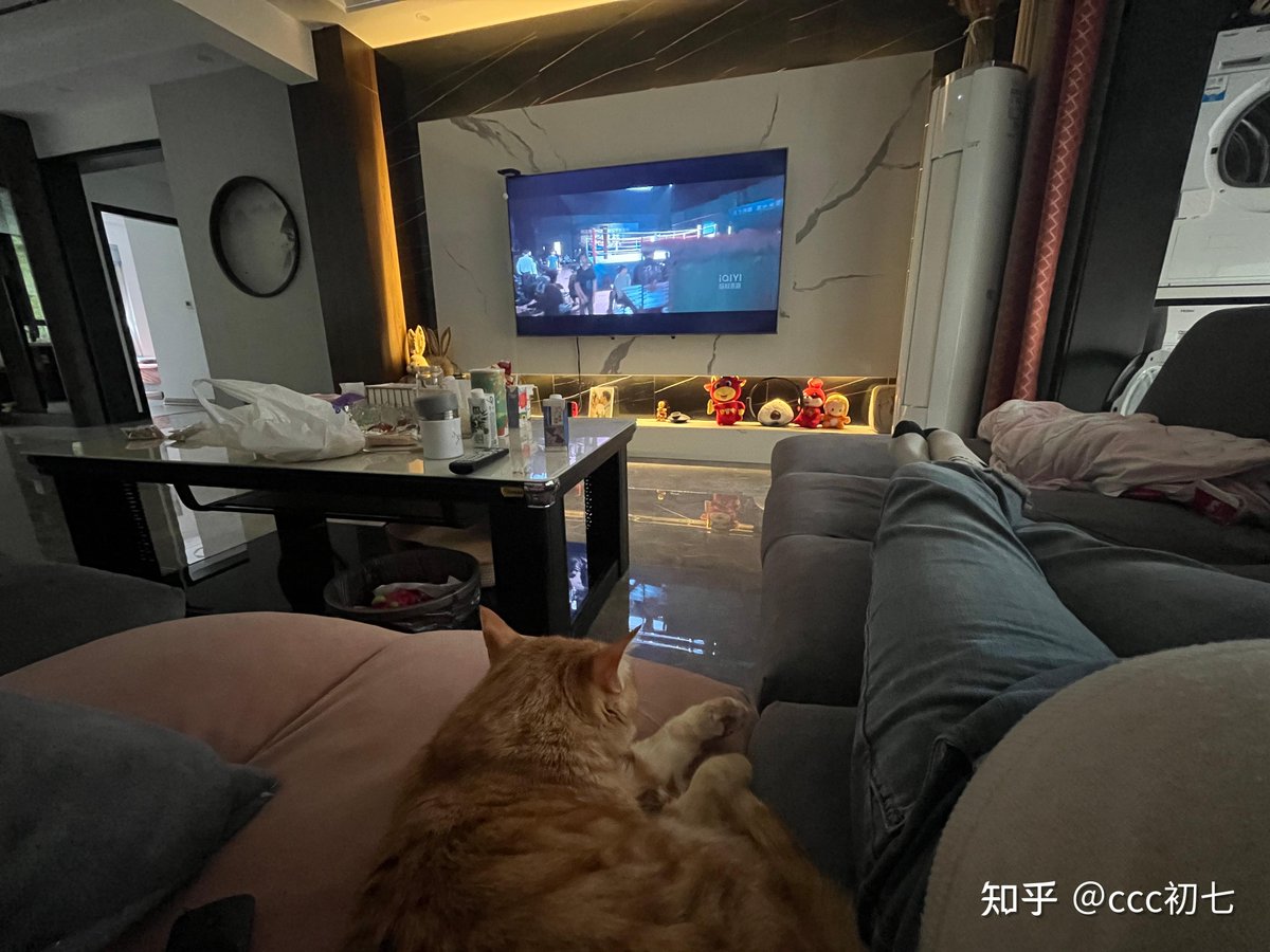 aisly863030's tweet photo. Just finished baking warm chocolate chip cookies and curled up on the couch with my cat and a good movie — perfect lazy Sunday vibe at home ， https://t.co/BuLSk8rt9Y