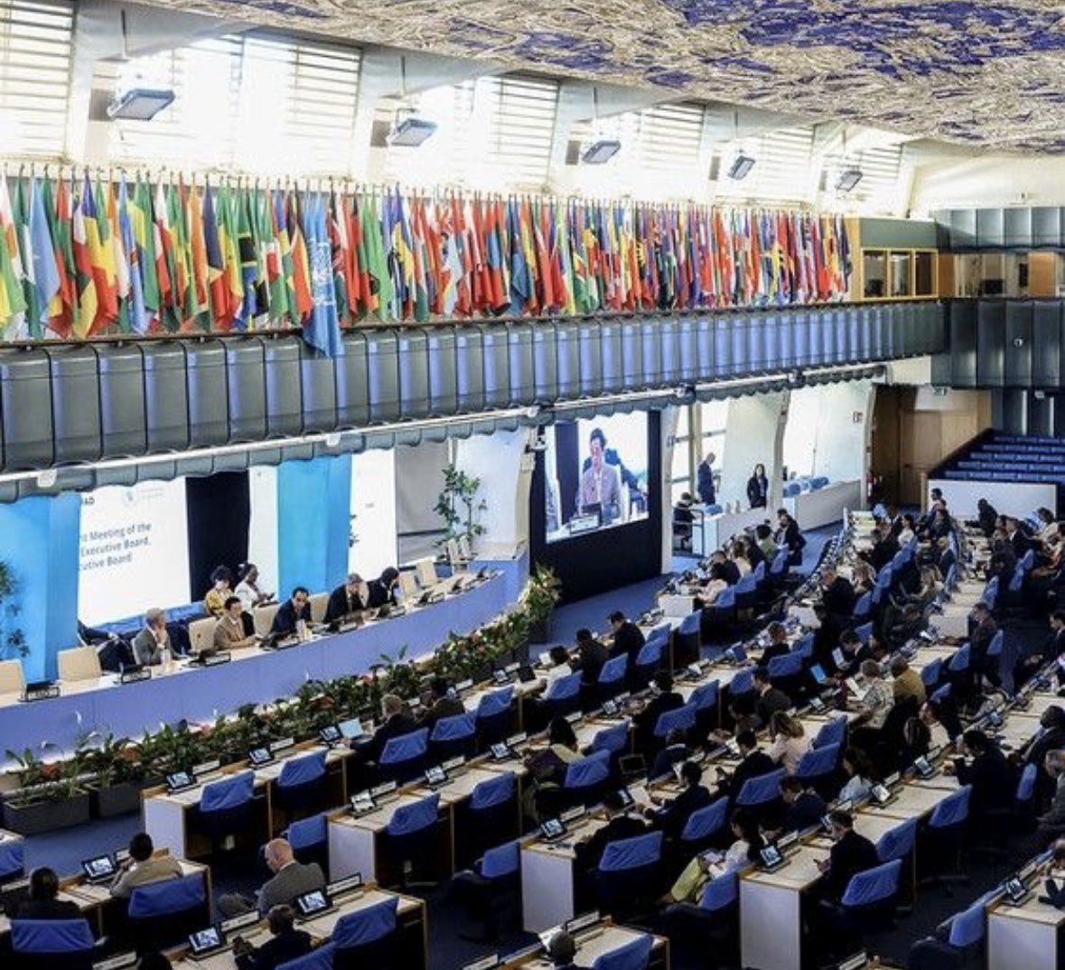 maumartina's tweet photo. Stronger together. @FAO stands ready to deepen collaboration with @IFAD and @WFP to better support countries. By aligning our complementary strengths with country priorities, we can deliver greater impact and improve livelihoods where they are needed most. https://t.co/Io9kqEydvd