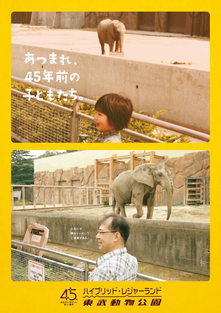 tobuzoo_info's tweet photo. 45年前、
開園当時に遊びに来てくれた子どもたちが
もう一度遊びに来てくれました。

人生には
懐かしいという
ご褒美がある。

#あつまれ45年前の子どもたち https://t.co/G3foZI3Cp7