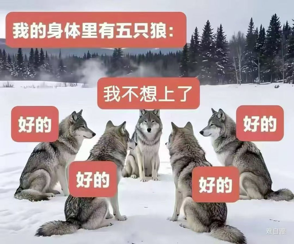 jiariweilong's tweet photo. https://t.co/bL2qEEbc4A