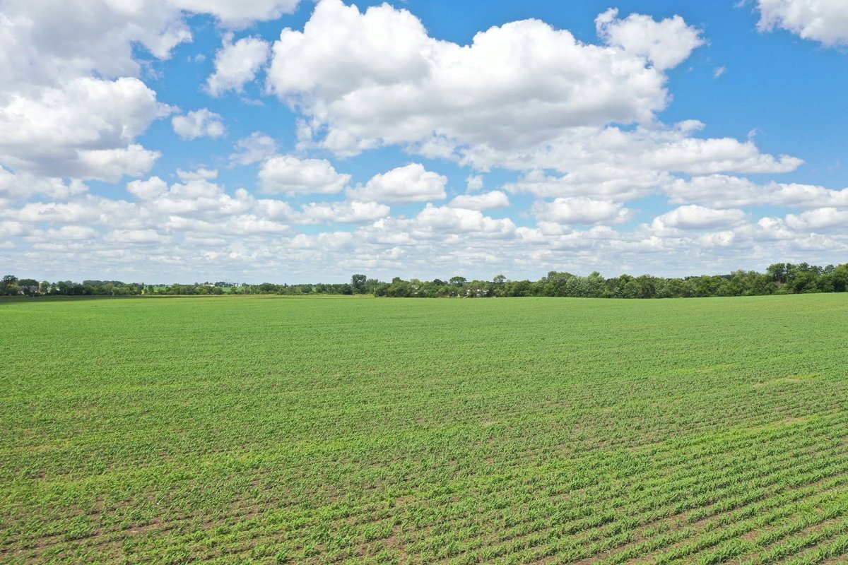 MGWLand's tweet photo. FEATURED FARM FRIDAY
The Airport Road Farm, DeKalb County, Illinois
• Productive cropland
• High percentage of tillable acres
• 1/2 mile south of Sycamore, IL
• 1 3/8 miles south of Illinois Route 64

View listing here: https://t.co/3M77hZzW9K
For a detailed brochure: https://t.co/H4slXPWm6D