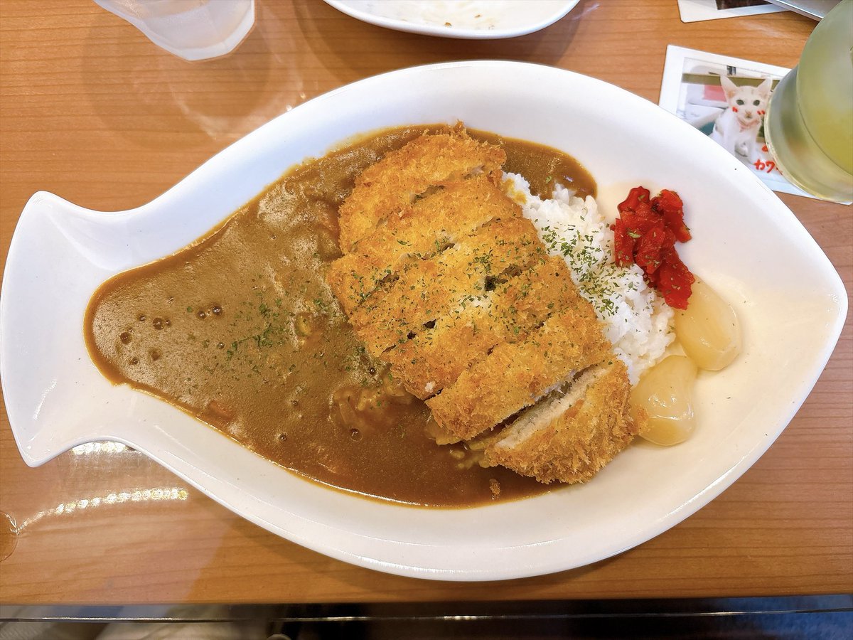 nf031525's tweet photo. 公演終わりに、劇場近くの猫の喫茶店🐱に行ってきました🫶
お店の外も中もキュートすぎて、ずーっとなごみ続けてました☺️🌷 https://t.co/Ri4ygB6Tzy