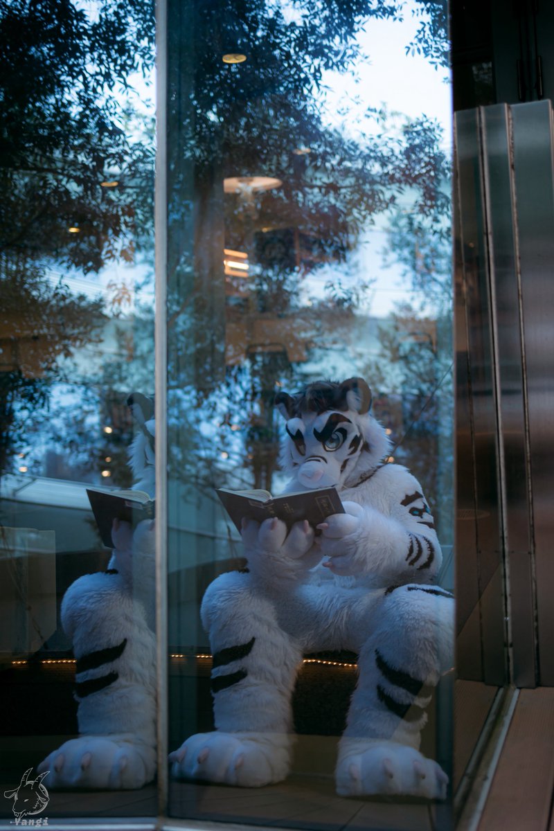 WhiteTigerTW's tweet photo. 今夜は何を飲もうかな📖

🪡：@BK_fursuit 
📸：@goat83262 
#FursuitFriday https://t.co/8lTR4mk9xQ