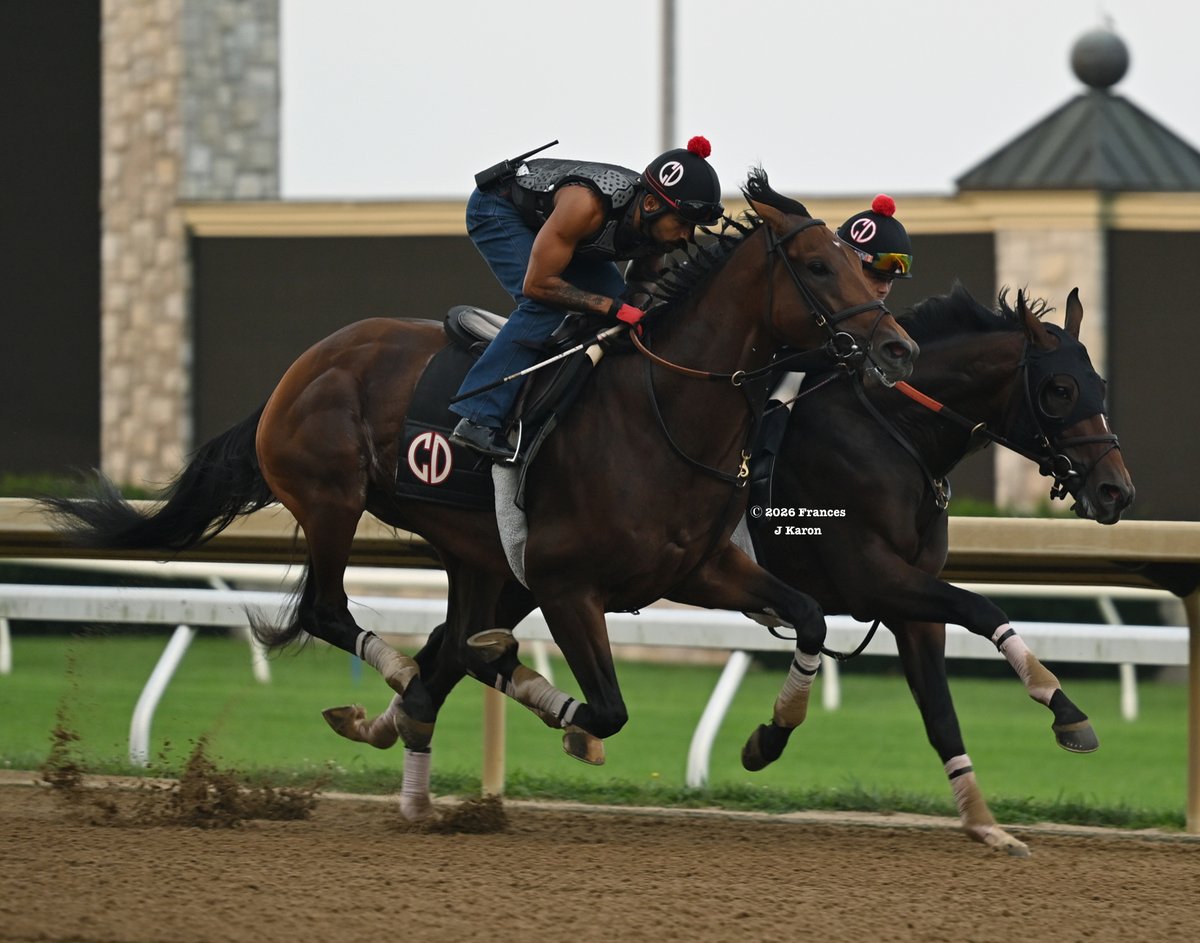 francesjkaron's tweet photo. Kentucky Derby/Belmont winner Golden Tempo breezing at Keeneland this morning (he's on the inside in the 1st pic), followed by his unraced 2yo half-brother Imperial Tempo (2nd pic, also on the inside). https://t.co/j7rc6F9tWl
