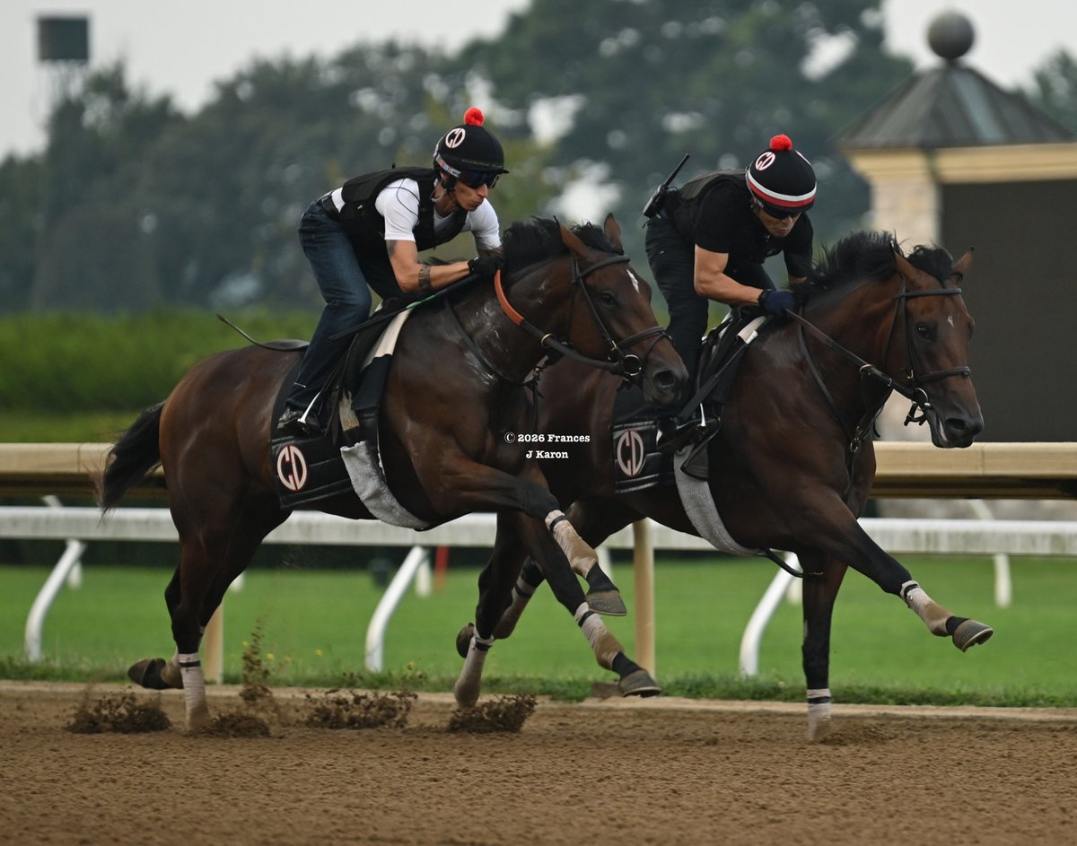francesjkaron's tweet photo. Kentucky Derby/Belmont winner Golden Tempo breezing at Keeneland this morning (he's on the inside in the 1st pic), followed by his unraced 2yo half-brother Imperial Tempo (2nd pic, also on the inside). https://t.co/j7rc6F9tWl