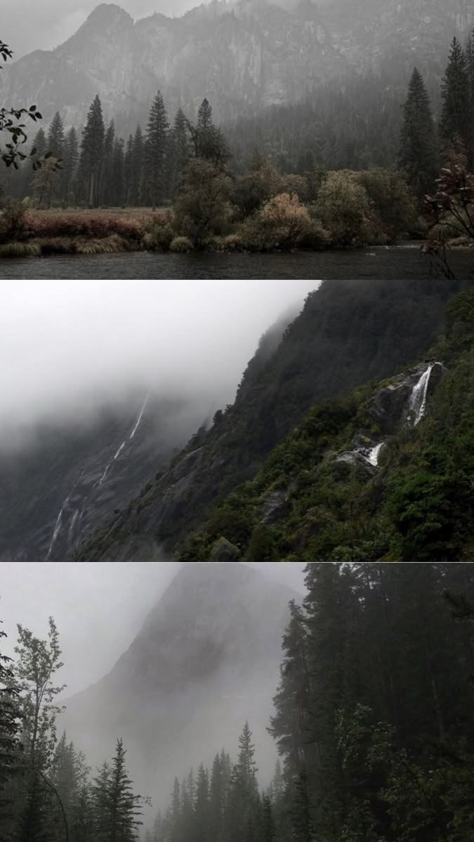 elemmiressoul's tweet photo. foggy forest. https://t.co/Uy70fYTr7Z