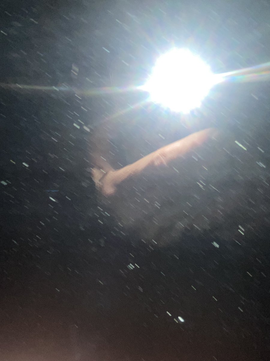 roy18940355's tweet photo. G R .  I passed a new gate , I swear .  Rolling on with a new set incoming 🏄‍♂️🏄‍♂️🏄‍♂️🖕🖐️ https://t.co/4UdsdYrzFV