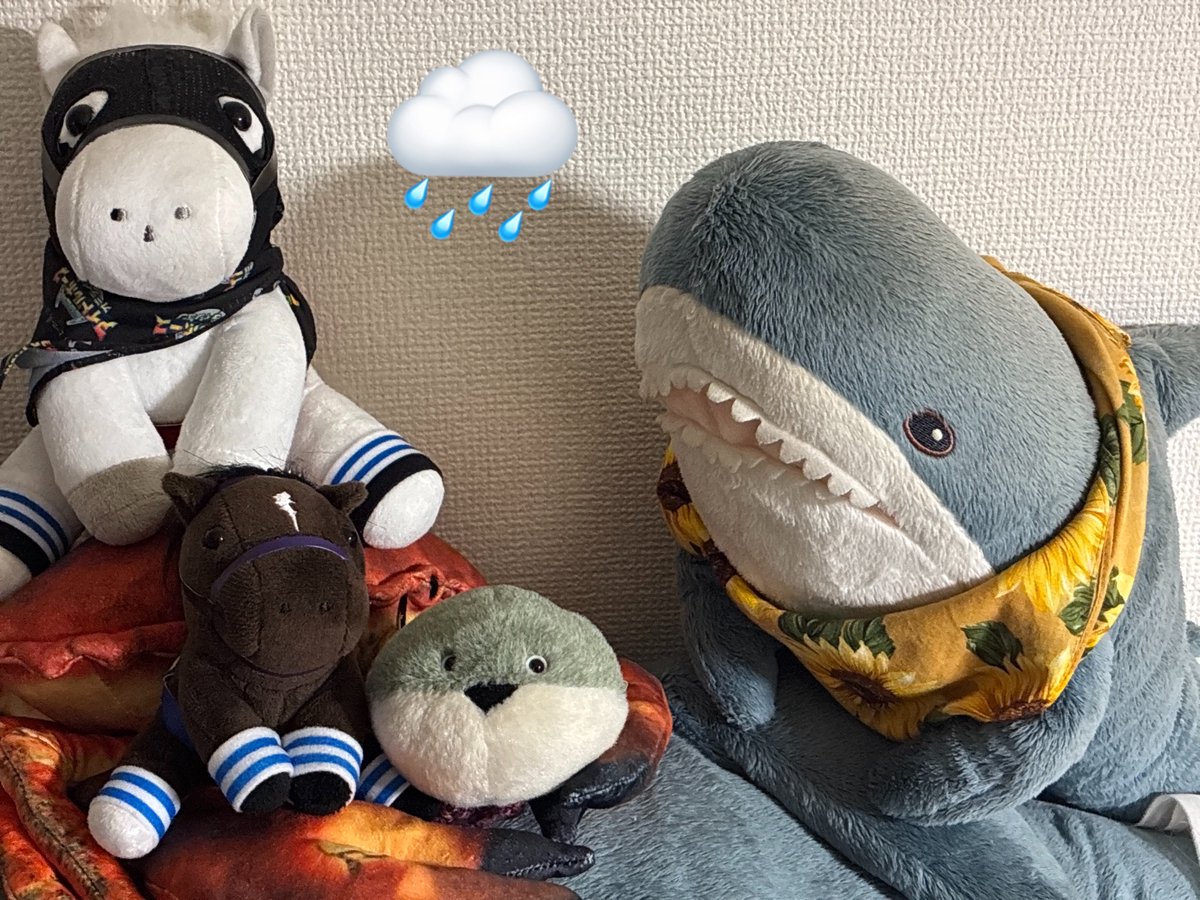 mekkiaji's tweet photo. 連休はお天気良くなさそうだねのIKEAの子サメちゃんたち https://t.co/Ma67ymkfUF