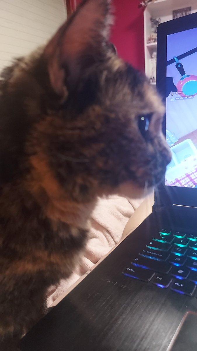 huronenfadao's tweet photo. fotos que recibirías si estuvieras saliendo conmigo https://t.co/CEglTddgCh