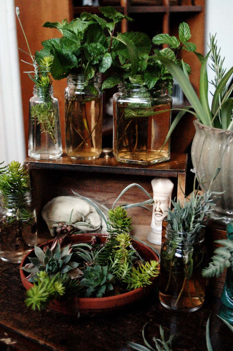 robio126265's tweet photo. Got spare mason jars Upcycled 'em into tiny herb planters this weekend  No fancy tools needed—just paint, string, and a hole punch. My windowsill smells like fresh basil now! #DIYProjects #Upcycle， https://t.co/z0i9Jc5Ncw