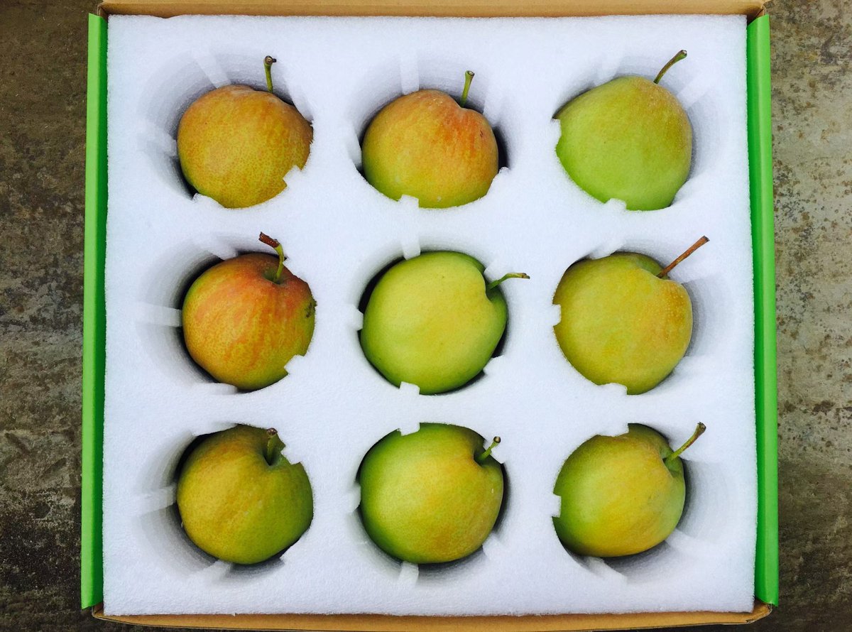 jiu_lu90233's tweet photo. 这是库尔勒玉露香梨，甜❤️❤️！吃过没？This is Korla Yulu Fragrant Pear, sweet ️ ️ ️! Have you eaten? https://t.co/yJKMgzhrdG