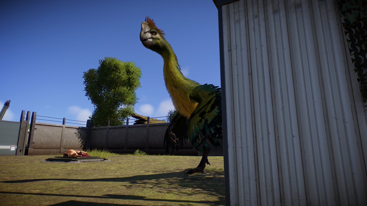 Paleo_Pizza's tweet photo. I miss my big angry goose! 🪿

🦖 - @JW_Evolution 

#jurassicworld
#jurassicworldevolution2 
#gigantoraptor
#jurassicworldevolution3 https://t.co/qmsN89c7KN