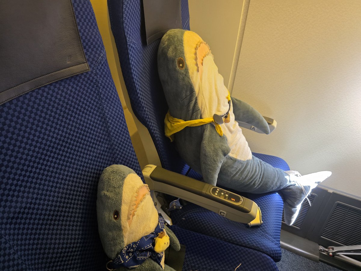 IKEAsame's tweet photo. 飛行機に乗って遊びに来たよシルバーウィーク
今日は福井で飛弾牛のひつまぶし https://t.co/RN2HYz1Gl6
