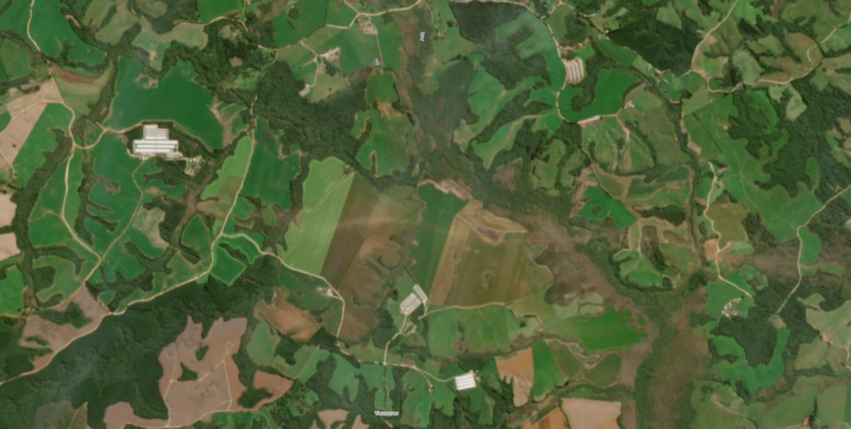 Sekai_WX's tweet photo. The Pirai Do Sul, Brazil tornado from August 8th of this year was incredible. Look at the scar its core left behind through the fields.

Significant scouring and tree debarking occurred along the path. 

One of the strongest international tornadoes of this century. https://t.co/SFfFsUOsfT