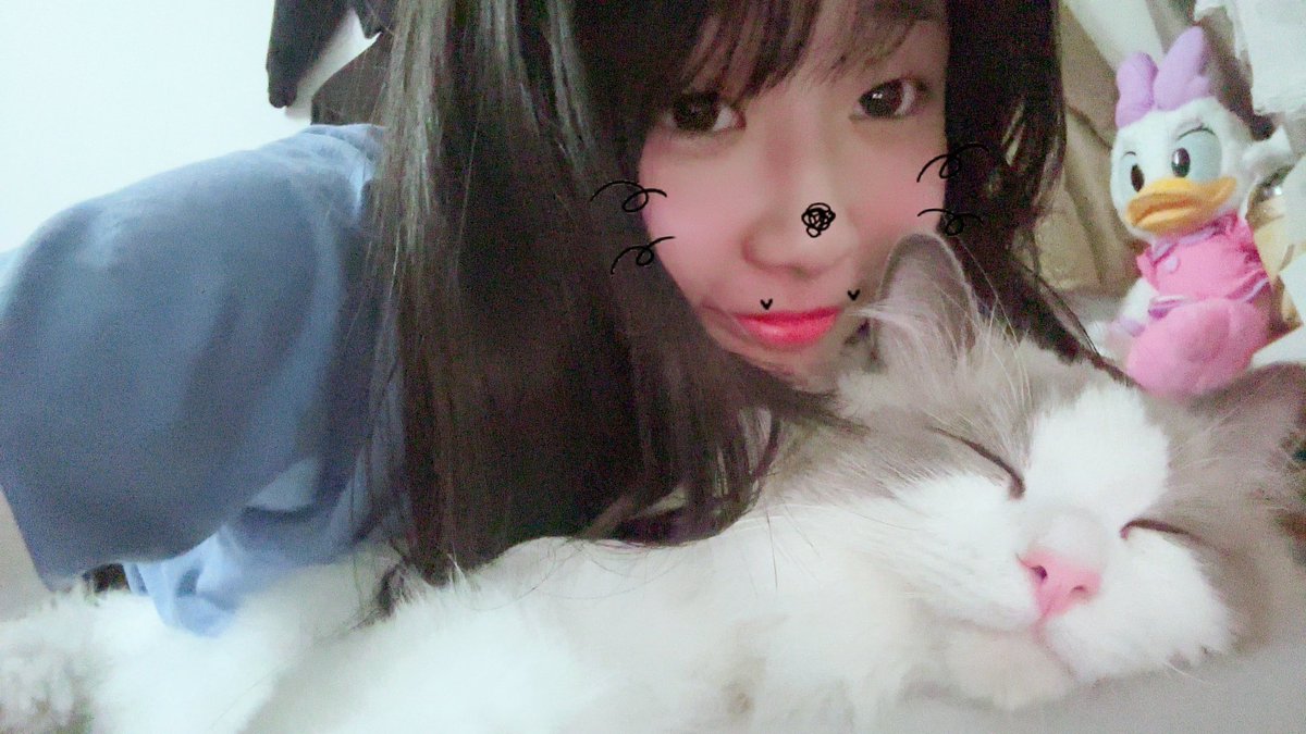 kagi75072's tweet photo. ねこ https://t.co/WAYrdFbrWF