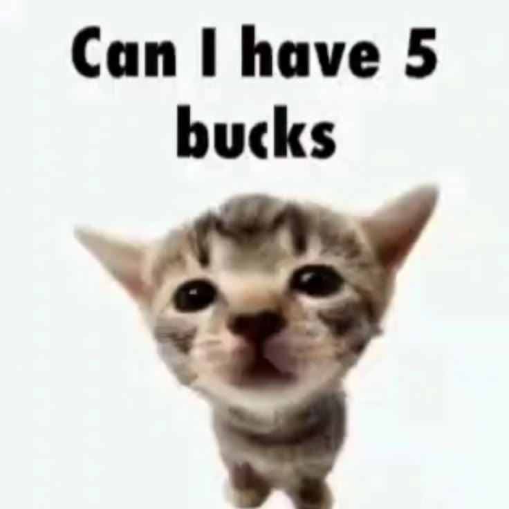 CatPosted's tweet photo. https://t.co/2xMv5aJLlG