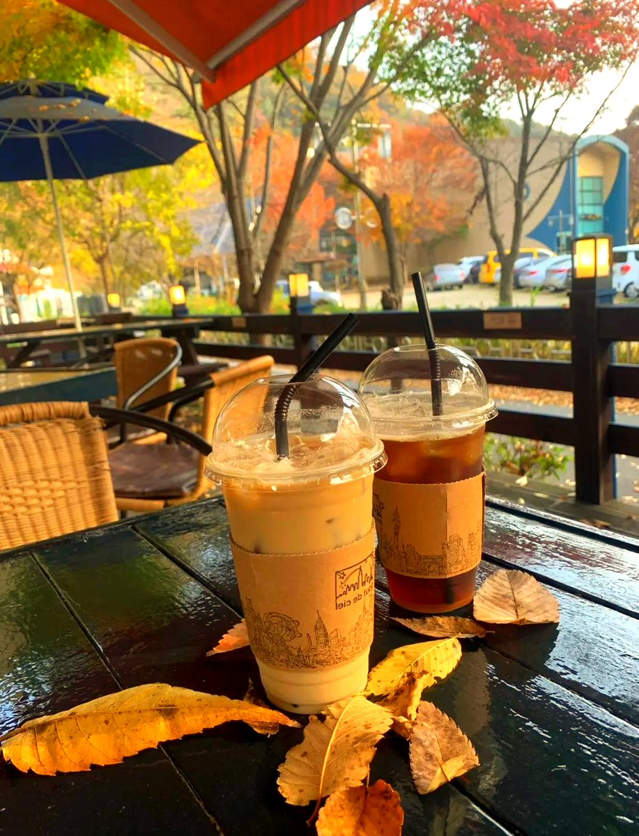 LamontIsrao6va's tweet photo. Una tarde de otoo en la calle: hojas secas bailan con el viento mientras un café caliente espera en la terraza. https://t.co/UImKe55SJ0
