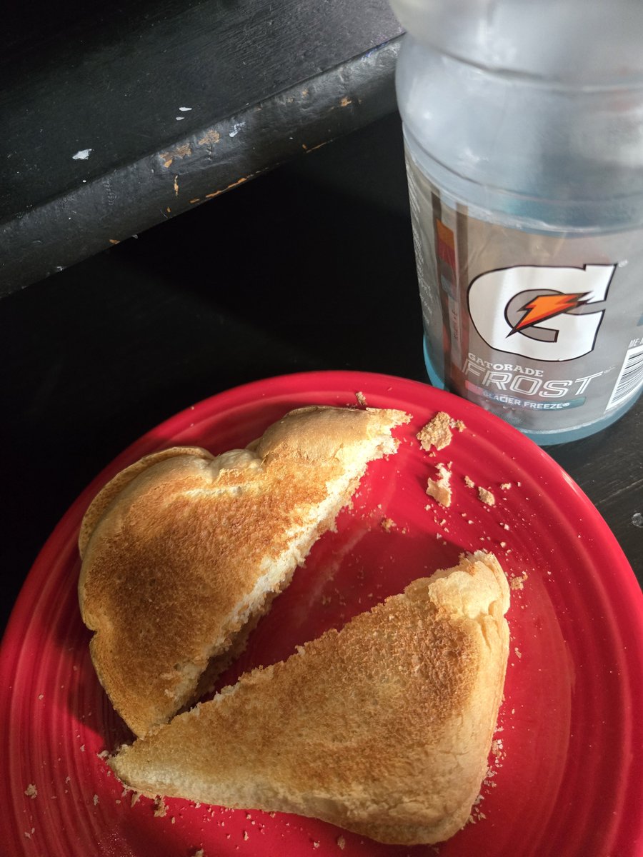 sneaky_stocking's tweet photo. if toast and gatorate dont cure my hangover im going to kill myself https://t.co/MmQFvJEpjj