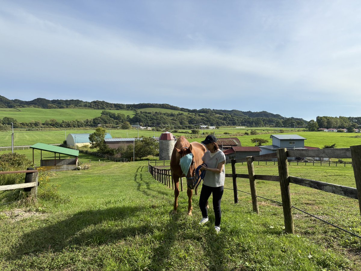 qL7mKYIWFKBES12's tweet photo. 北海道旅の締めくくりは🐴でした‼︎
素敵な牧場でした。
#TOU9 期生
#エアジハード
#日高
#3学期も頑張る https://t.co/kFVDHzVVGu