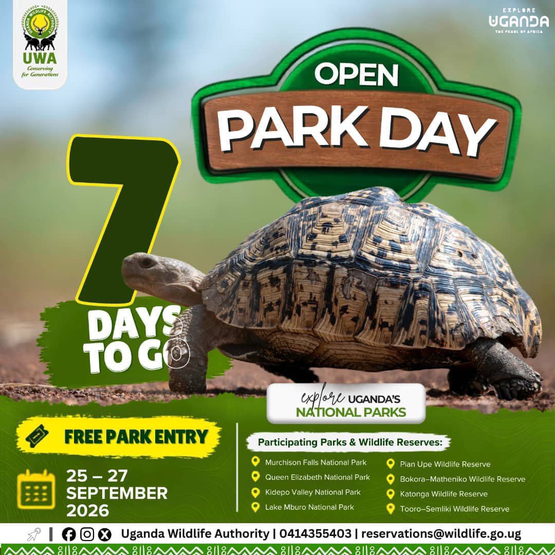 PatinaB66511's tweet photo. Another day to remind you of the open park days Come next week from 25th to 27th September. Don't miss😌😊 https://t.co/RTdMlTYym1