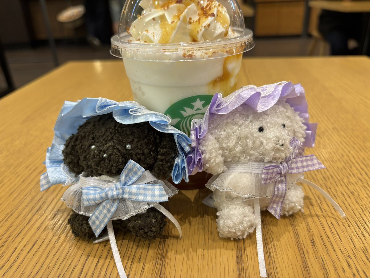 chocoandmashu's tweet photo. まま と ぉぃも ！ https://t.co/Qp6SrbXBKa
