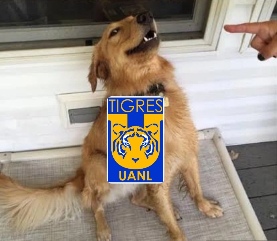 YesseniaRocha's tweet photo. VAN CONTRA EL PEOR EQUIPO DEL TORNEO, NO LA VAYAN A CAGAR https://t.co/H8YGge1F01