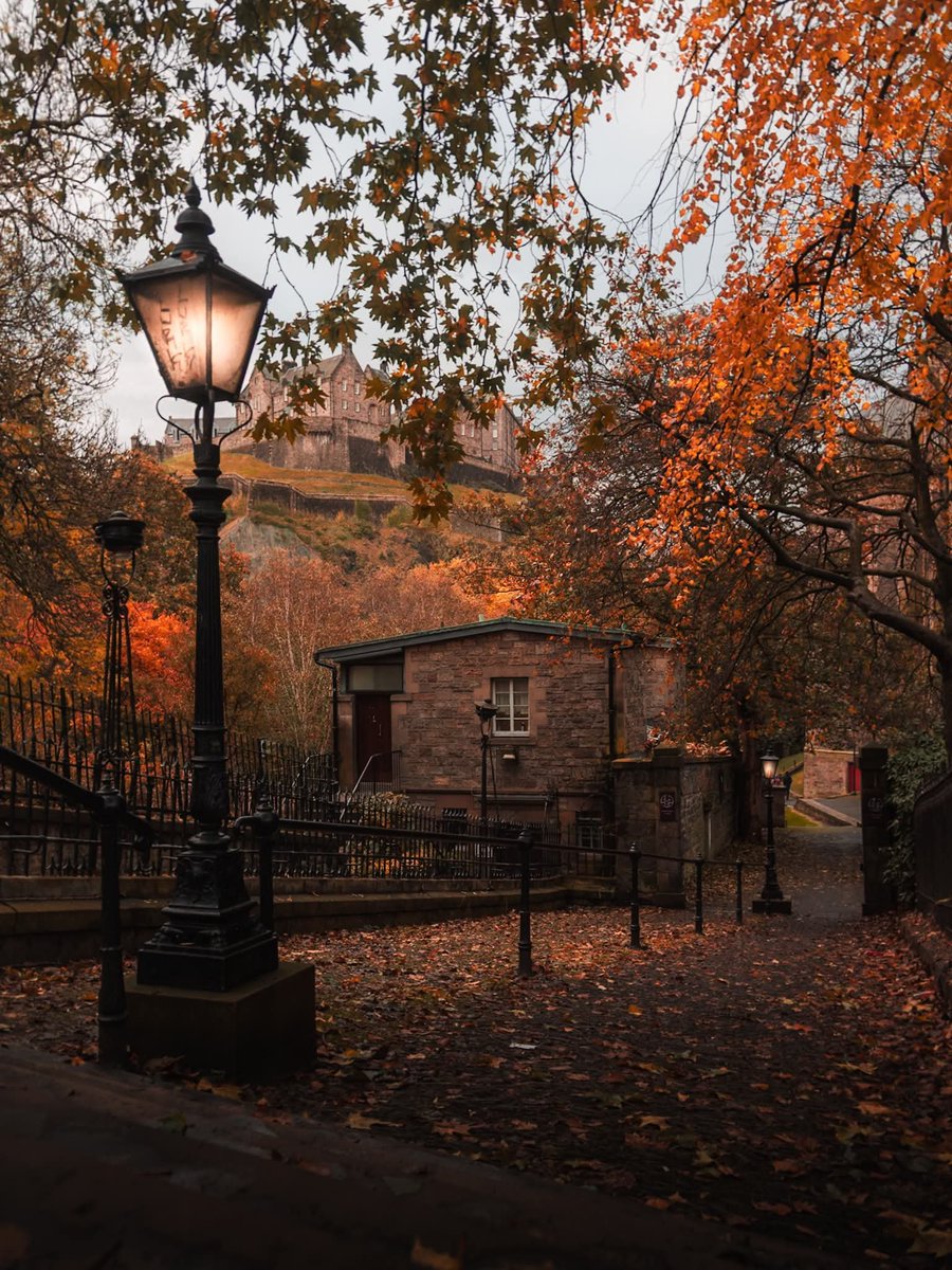 InFiniteH0riZ0n's tweet photo. autumn in england https://t.co/KIblboLpHv