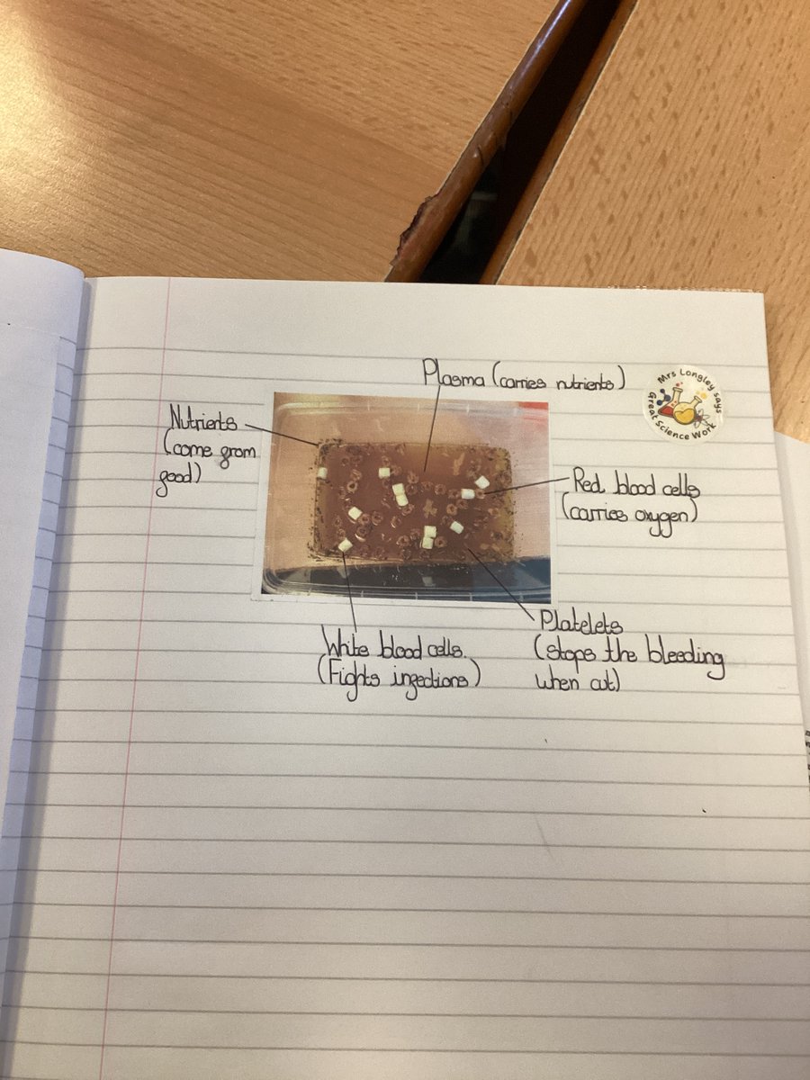 JCAWakefield's tweet photo. Year 6 have enjoyed learning all about components of the blood. We represented different parts and then explained the function 🩸@JCA_Science https://t.co/CKmGlsYum9