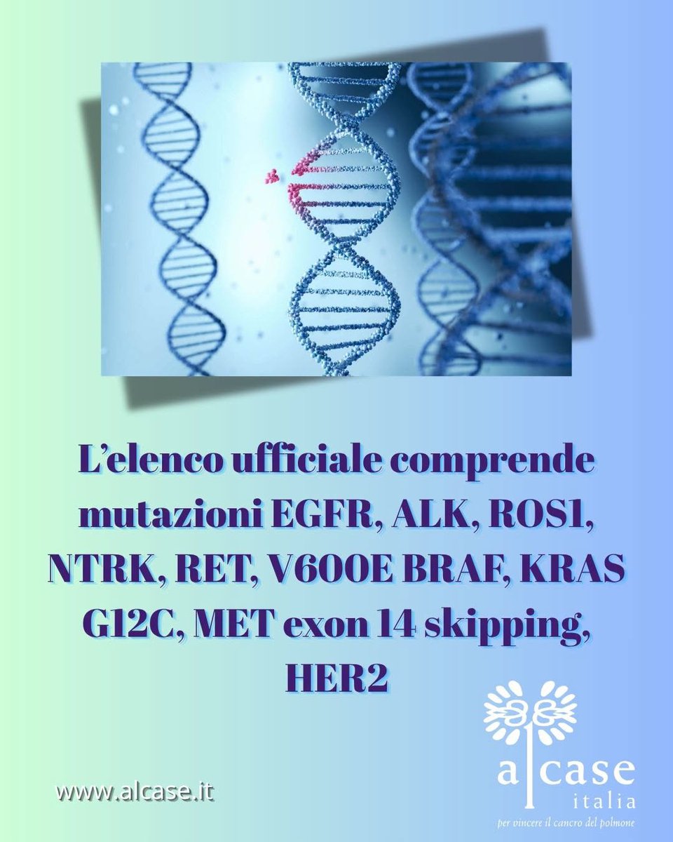ALCASE_Italia's tweet photo. #testmolecolari
I pannelli NGS devono identificare almeno le alterazioni per cui esistono farmaci già accessibili. Queste alterazioni sono esplicitamente richieste dai documenti regionali e ministeriali.
https://t.co/singGIVjxc https://t.co/kcsNaiCHmL