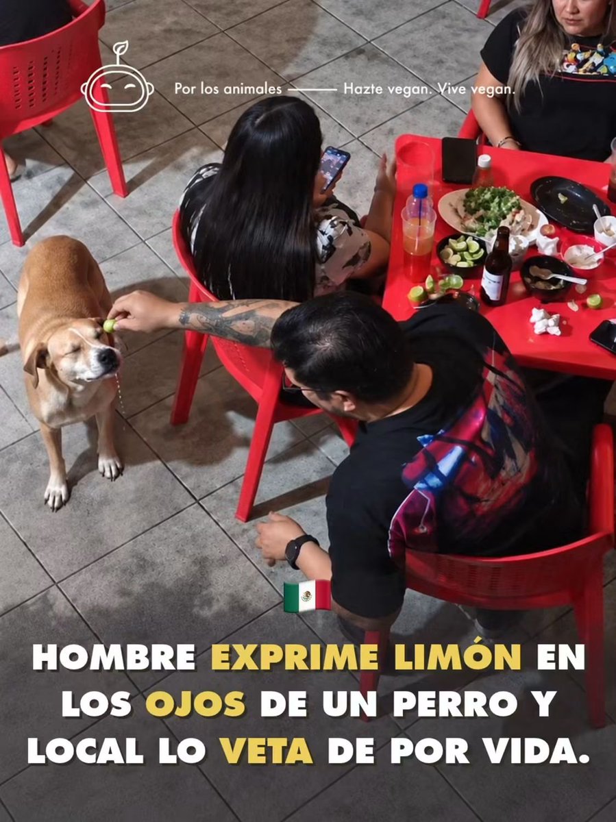 muzeriqui's tweet photo. Y hoy en hijos de la gran puta por el mundo... 
Este sádico de mierda,que mierda hay que ser para hacerle eso a un pobre animalito, a ver si el karma actua con este degenerado miserable.. Cago en sus muertos.. https://t.co/QAZ7RFH49j