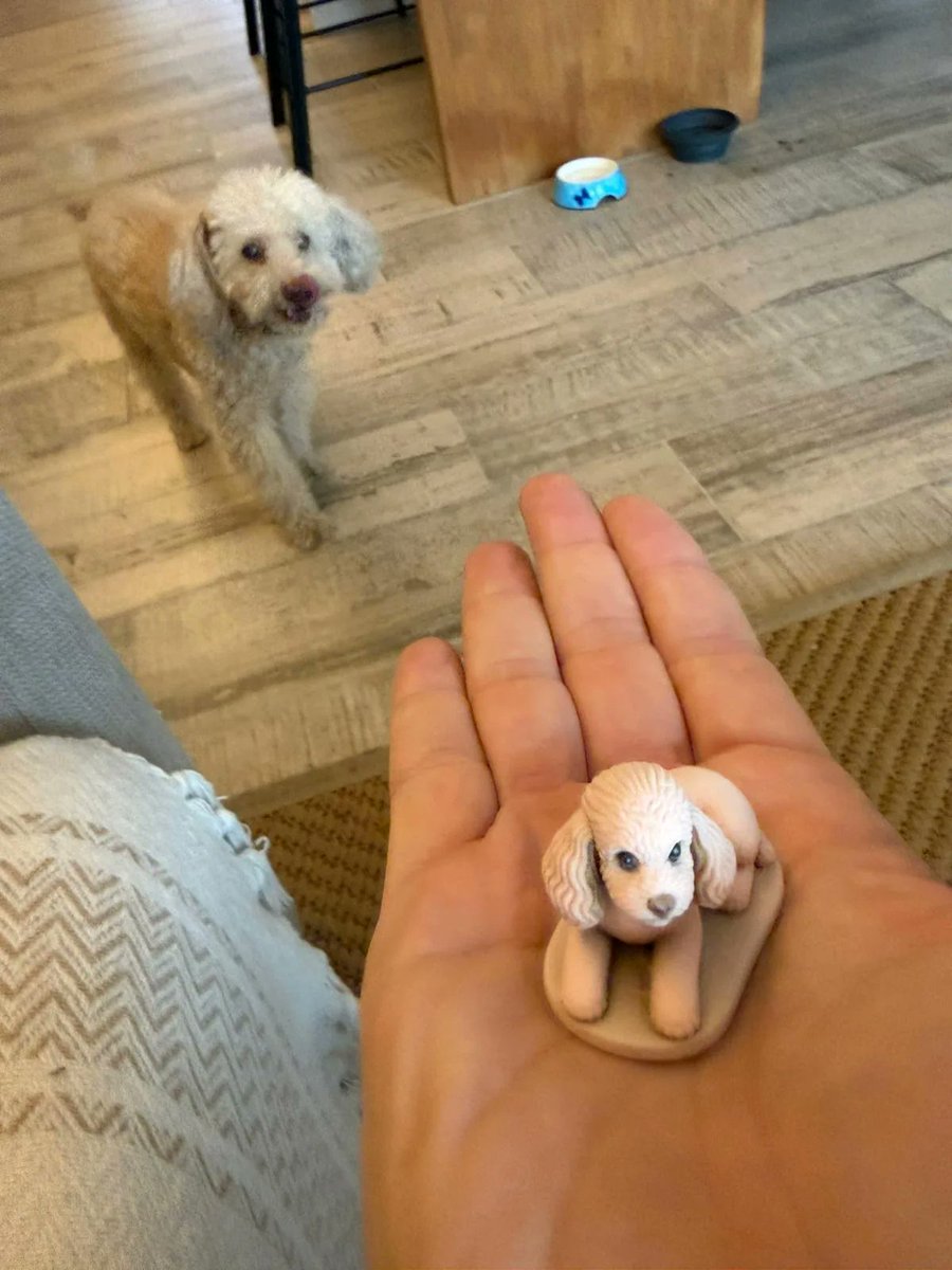 nendodotworld's tweet photo. 🐶 https://t.co/CGaQ95TT6S