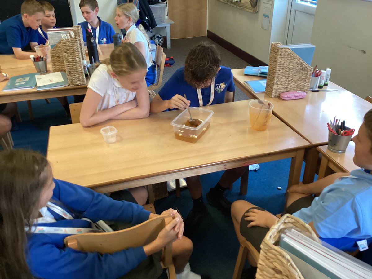 JCAWakefield's tweet photo. Year 6 have enjoyed learning all about components of the blood. We represented different parts and then explained the function 🩸@JCA_Science https://t.co/CKmGlsYum9