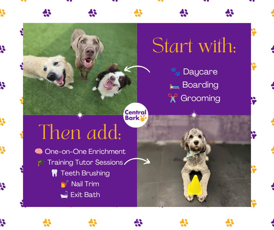 CentralBarkYork's tweet photo. 🎉 Build Your Dog's Perfect Day!
No two dogs are the same—which is why we offer so many ways to customize every visit!
Start with:
🐾 Daycare
🛏️ Boarding
✂️ Grooming
Then add:
🧠 One-on-One Enrichment
🎓 Training Tutor Sessions
🦷 Teeth Brushing
💅 Nail Trim
🛁 Exit... https://t.co/ieSDuhAdMQ