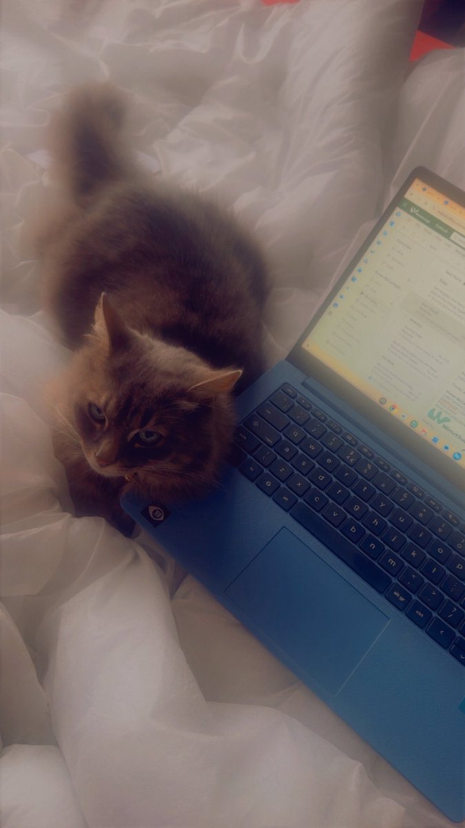aimeelmccarthy's tweet photo. Favourite one to work with on bits for the @Waythrough_UK Coming Together magazine that I’m Lead Content Creator for &amp; a super secret, HUUUUGE project!! 🤓😍🐱
Subscribe to the magazine 👇🏻👇🏻
https://t.co/3WAsMQVsfa https://t.co/G3CYAh4n5a