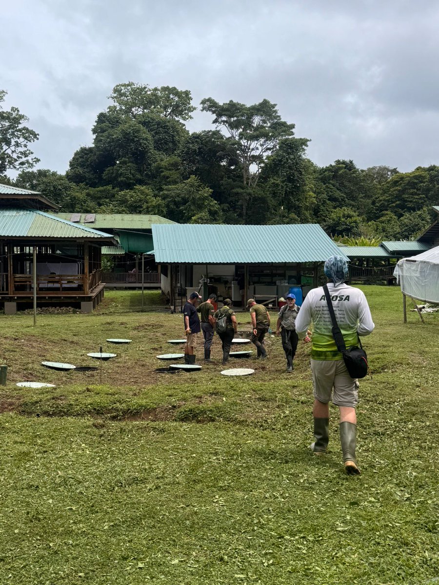 CRMinae's tweet photo. Tras cumplir con las disposiciones sanitarias PARQUE NACIONAL CORCOVADO RESTAURA AFORO EN LA ESTACIÓN BIOLÓGICA SIRENA  •El nuevo aforo máximo autorizado para la Estación Biológica Sirena es de 366 personas por día •La medida entra en vigor a partir de este 17 de setiembre 2026 https://t.co/8oV3PpSbOw