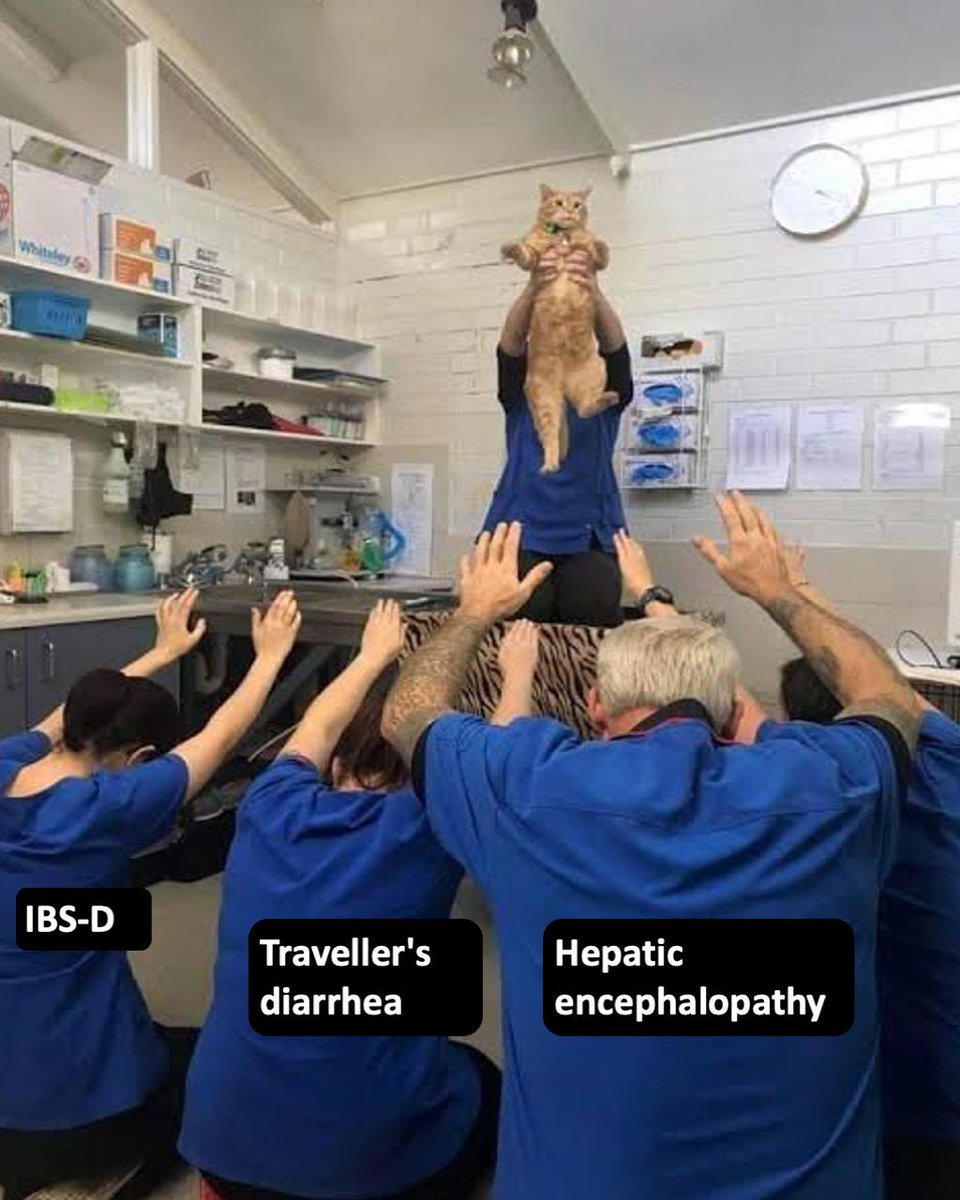 simplify_drugs's tweet photo. Guess the med 🤔 https://t.co/NTJjMgOX0E