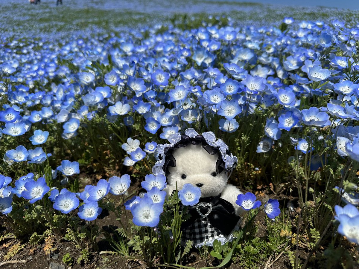 p_q_infp's tweet photo. 夜になると考えすぎちゃうなぁ。
人と比べちゃダメなのよくわかってるんだけど。
わたしにできることはがんばることだけだ…
配信でキラキラしたいよ…みんな一緒に盛り上げてね、お願いね…タグも…コメントも…ね…🥲
わたしなんてクソおもんないライバーだけどさ、助けてね…🥲 https://t.co/vkXVyEO00P