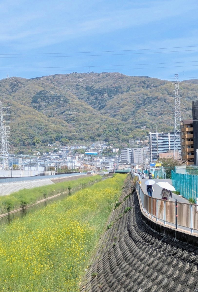 AzatKa5v's tweet photo. わかる、こんなかわいいハムスターいたら、おれが滑車を回っちゃうね…
※バスの中で配信開けないのでツイーヨします https://t.co/trEg0WFlTV