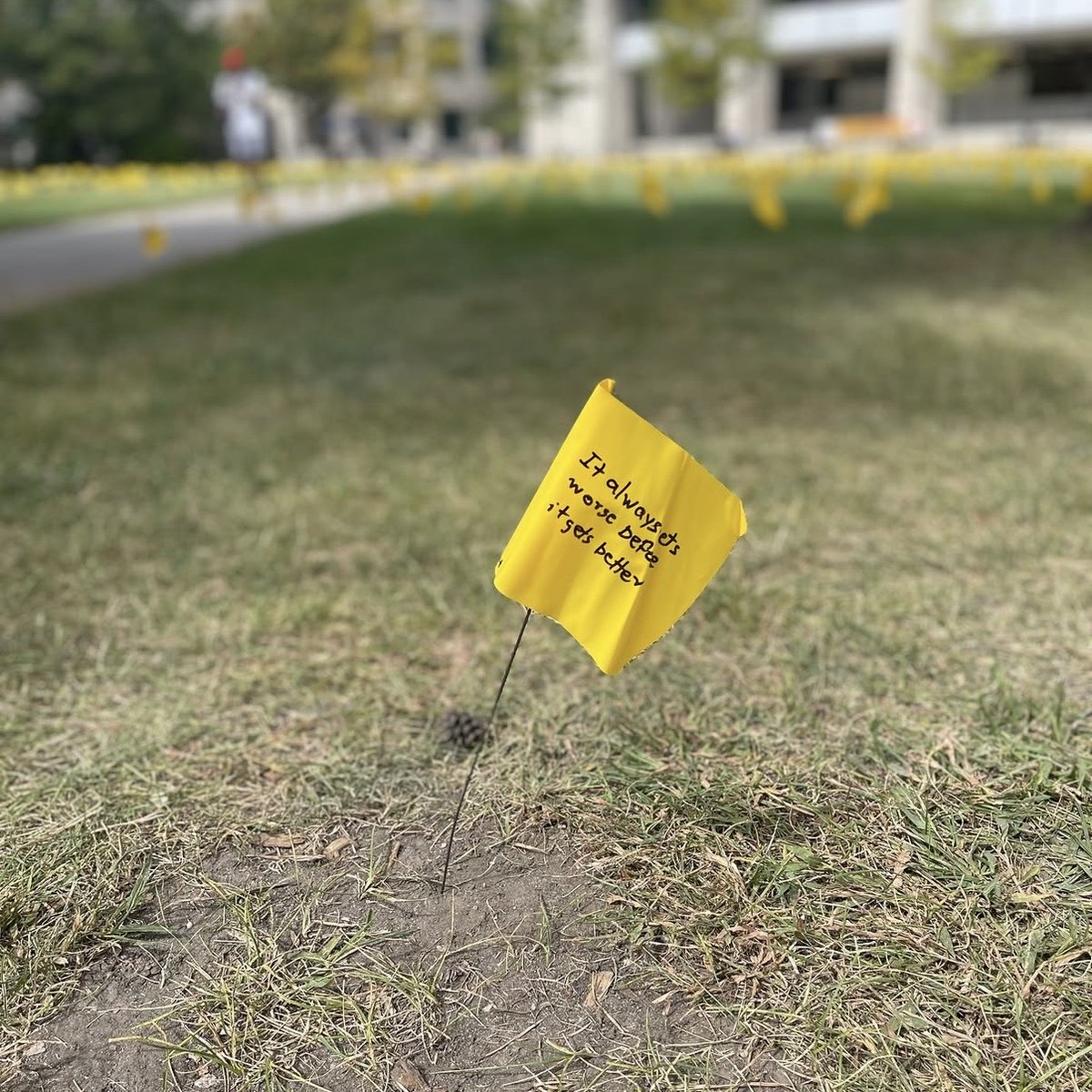 ISU_Library's tweet photo. The annual Field of Memories event is happening today till 3 p.m. on the lawn in front of Parks Library. Join us to promote hope, support mental health awareness &amp; connect our campus community. We are all impacted by suicide; ❤️💛

@IowaStateU ; @bewellisu https://t.co/xZA4mrfIim