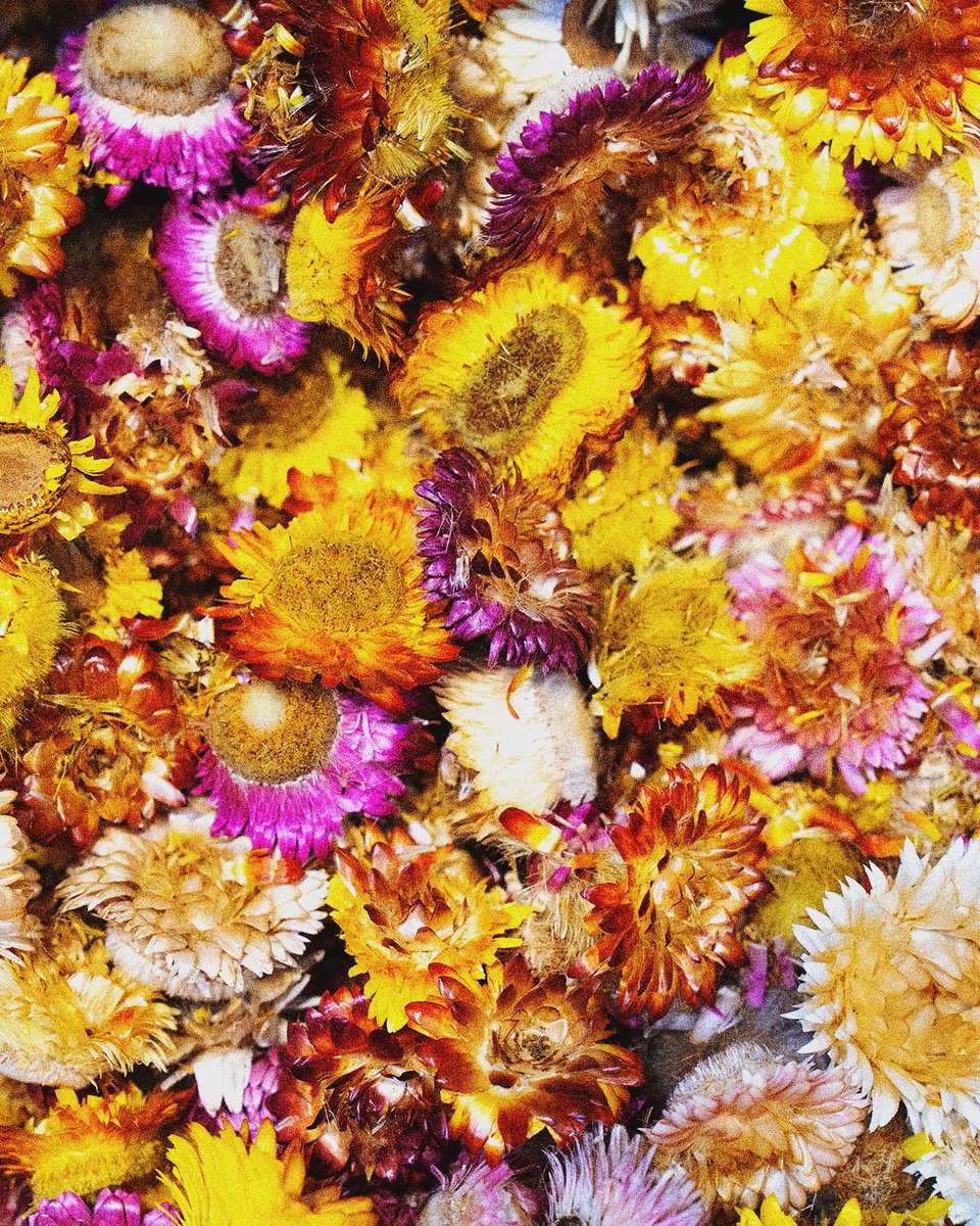 SoukAlSeef's tweet photo. Spices, saffron, dried flowers and more at Sky Kashmir Spices ๐ฟ๐งบ
ุชูุงุจูุ ุฒุนูุฑุงูุ ุฒููุฑ ู
ุฌููุฉ ูุฃูุซุฑ ููุณูุงู ูุดู
ูุฑ ุณุจุงูุณุฒ. ๐ฟ๐งบ
#SoukAlSeef #DubaiRetail https://t.co/Yk4p2vN0hp