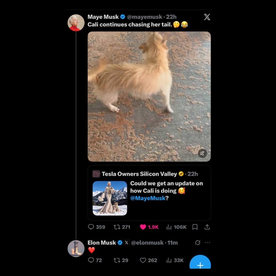 WhaleInsider's tweet photo. JUST IN: Elon Musk replies to Maye Musk’s tweet about her dog Cali, which tagged the $CALI account. The last time Elon posted about a dog was FLOKI, which later reached a $3.5 billion ATH. https://t.co/eItmh8a4OV
