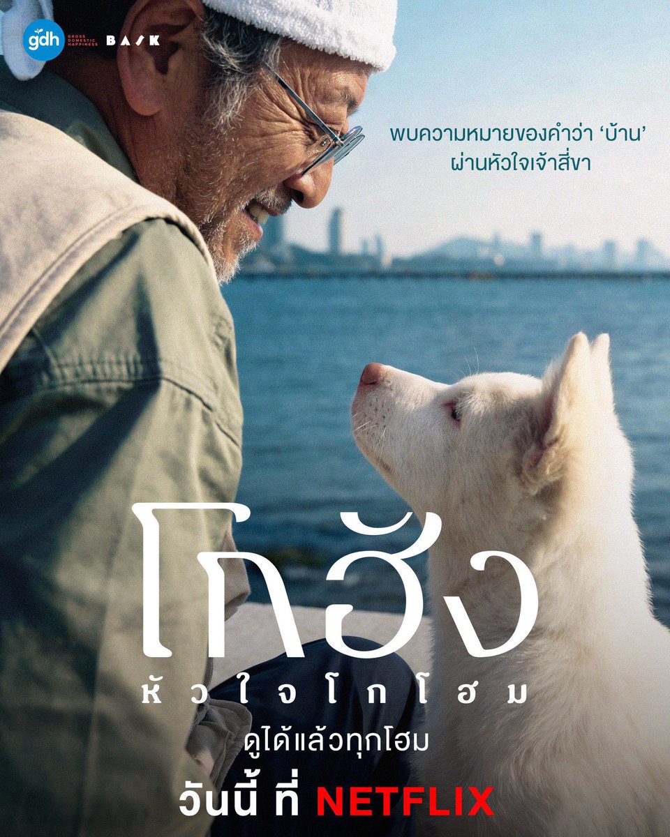 summertimespace's tweet photo. #หารnetflix   4K
(แอคไทย)

(⨳ rt ก่อน )
     1  วัน 𓄲  10 b 𓂃  TV  20 b
     7  วัน 𓄲 33 b  𓂃 TV  45 b
   30 วัน 𓄲 89 b !  𓂃 TV 119 b

◌ จอส่วนตัว 
◌ โดนปิดรับเคลม

 สั่งซื้อline @893hipyc

(#เน็ตฟลิกซ์ราคาถูก #หารnetfilxราคาถูก        #หารเน็ตฟลิกซ์ #netflixราคาถูก) https://t.co/Cl1msqHgRE