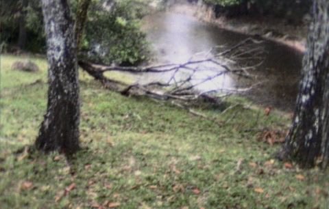 gasolinewar6's tweet photo. When the river meets the land, It will all comes to a conclusion. By The Bayou, I Remember You. May 12. https://t.co/Rc6MHS9ktq