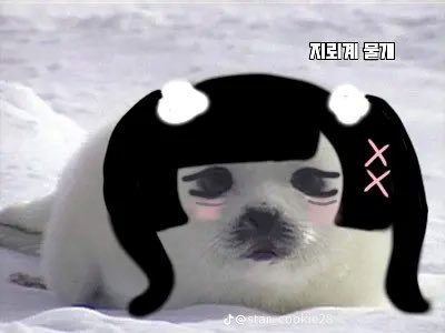 love_more236's tweet photo. 물꾸(물개꾸미기) https://t.co/aohwz5EZlz
