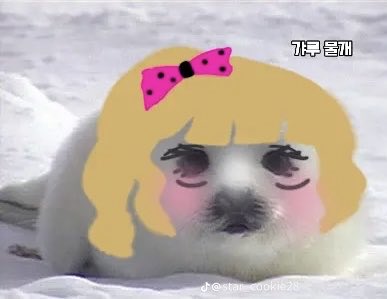 love_more236's tweet photo. 물꾸(물개꾸미기) https://t.co/aohwz5EZlz