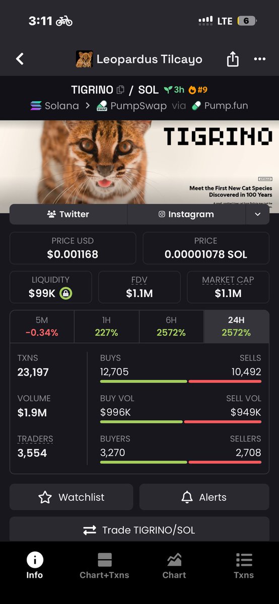 D_bull_guy's tweet photo. The degen journey isn’t just green candles.
It’s losses, regret, doubt, and starting again.
You take the pain, learn the lesson, and come back smarter.
One call doesn’t make the trader. The journey does.

From. 13k to 1.1m 🎉 https://t.co/4xk0VE1znf