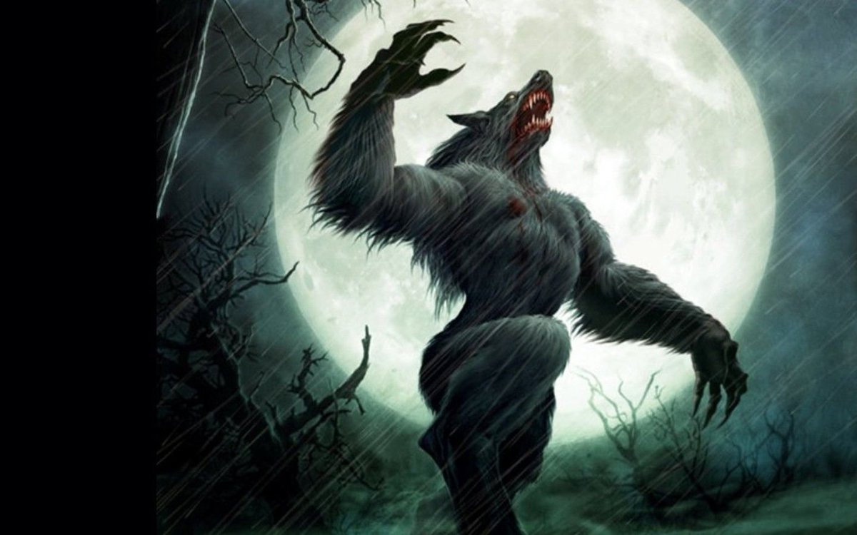 phrezouille's tweet photo. @_Nyxxe_ Lune + chien = loup garou propre, tout s'explique https://t.co/DDSpDditHb